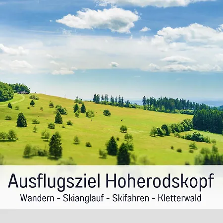 度假居 Grosses Fuer 12 -17 Personen Mit Whirlpool - Spielzimmer Und Garten 赫比斯特恩
