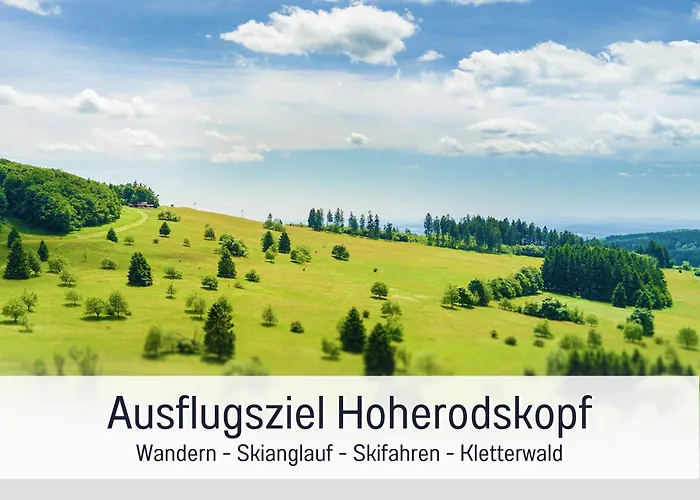 Ferienhaus Großes Für 12 -17 Personen Mit Whirlpool - Spielzimmer Und Garten Herbstein